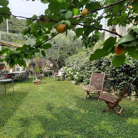 Casa Olivia Lacrema Финале Лигуре Екстериор снимка